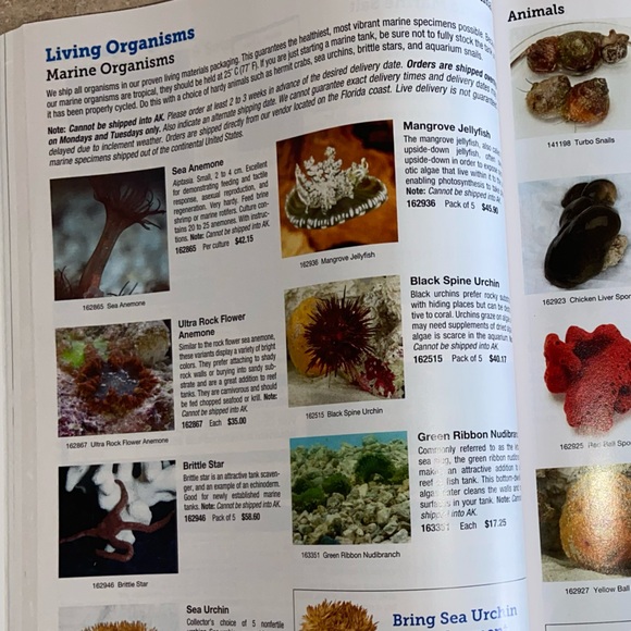 Carolina Science 2024-2025 Catalog - Picture 3 of 11